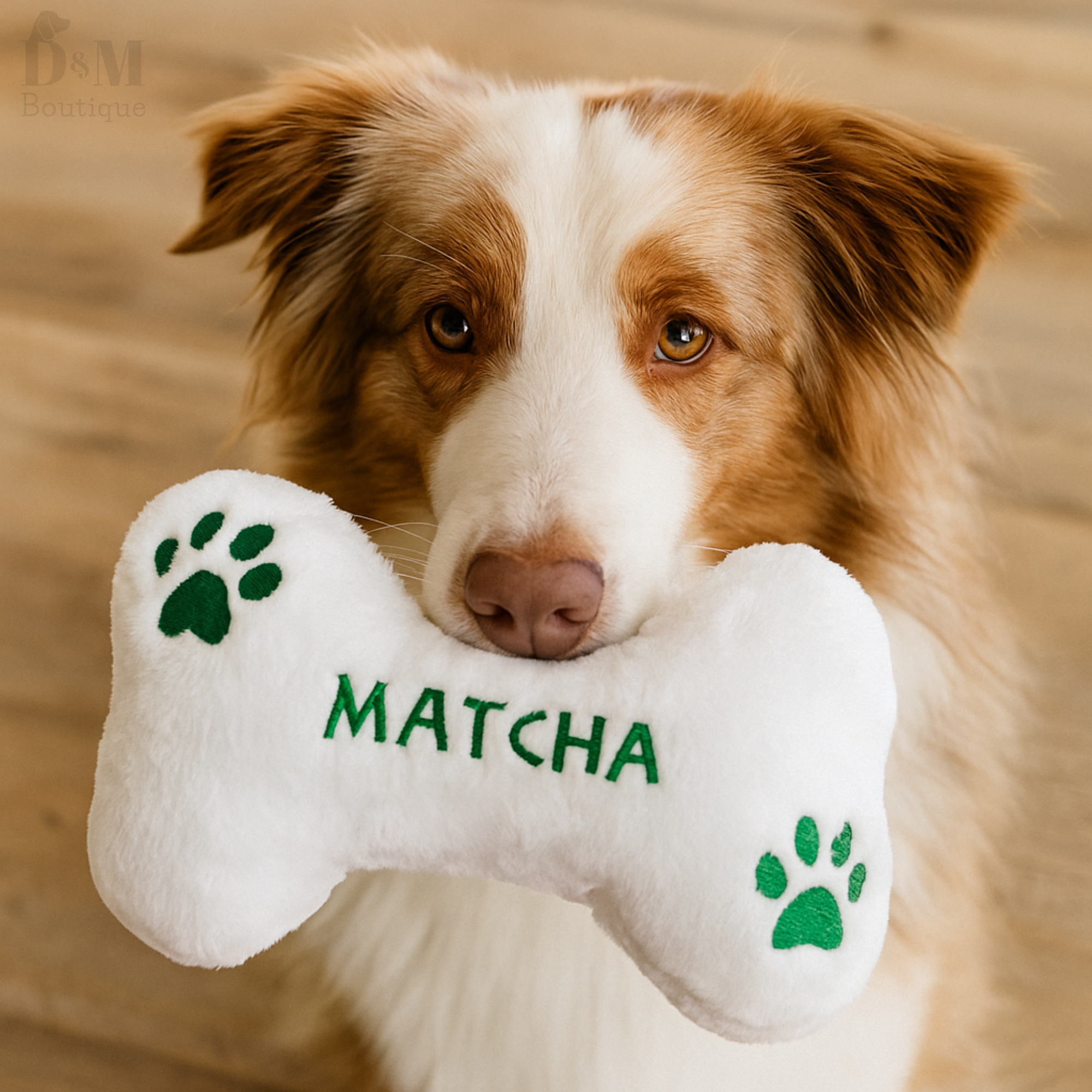 Dog holding a bone-shaped toy with 'MATCHA' written on it against a blurred background