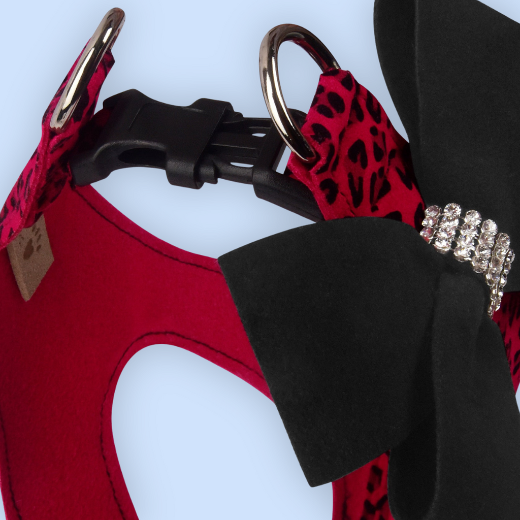 Bow Step in Dog Harness