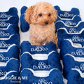 Premium Promotional Dog Toys