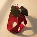 Bow Step in Dog Harness