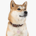 Pink Polka Dot Pet ID Tag