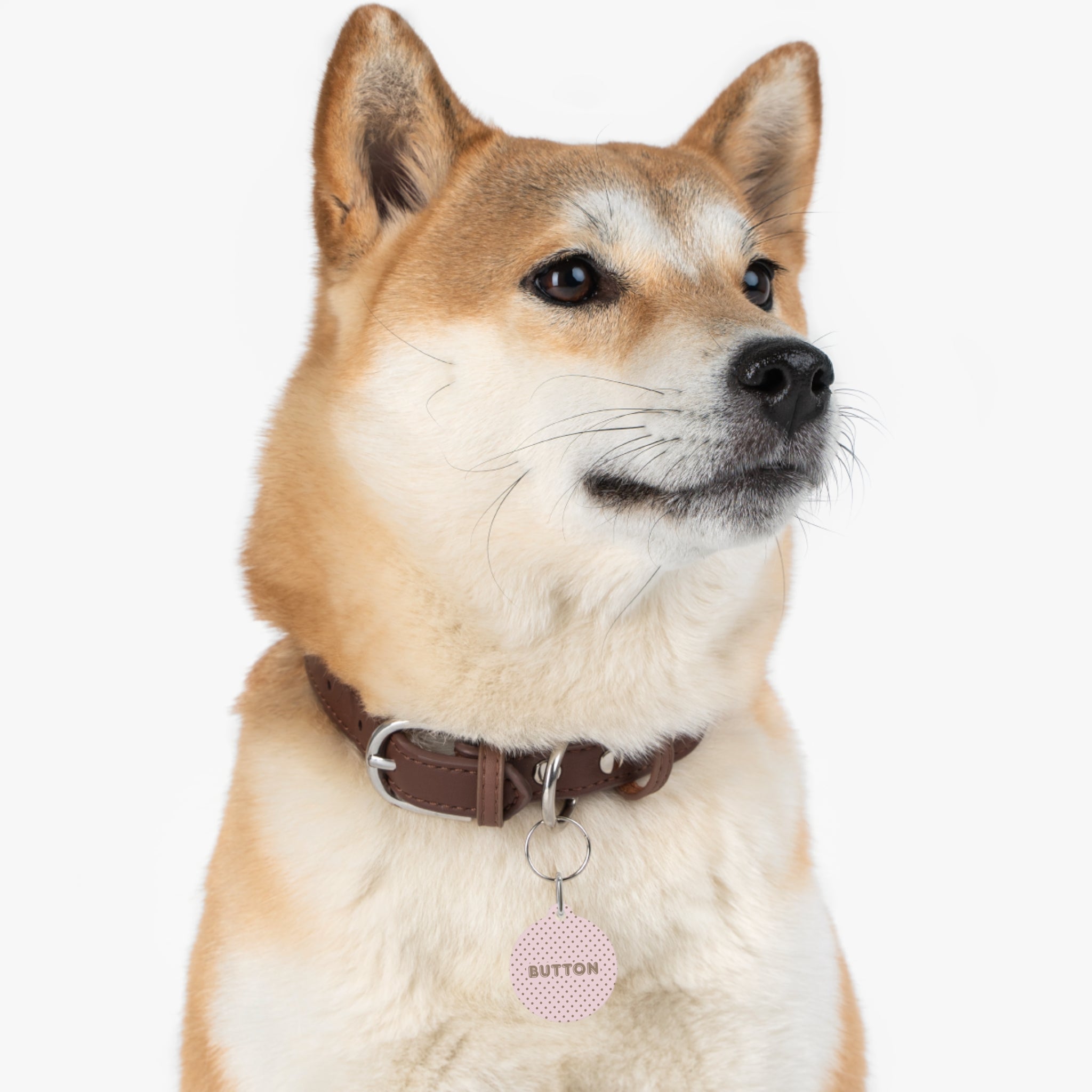 Pink Polka Dot Pet ID Tag