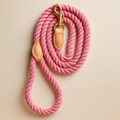 Braided Dog Leash