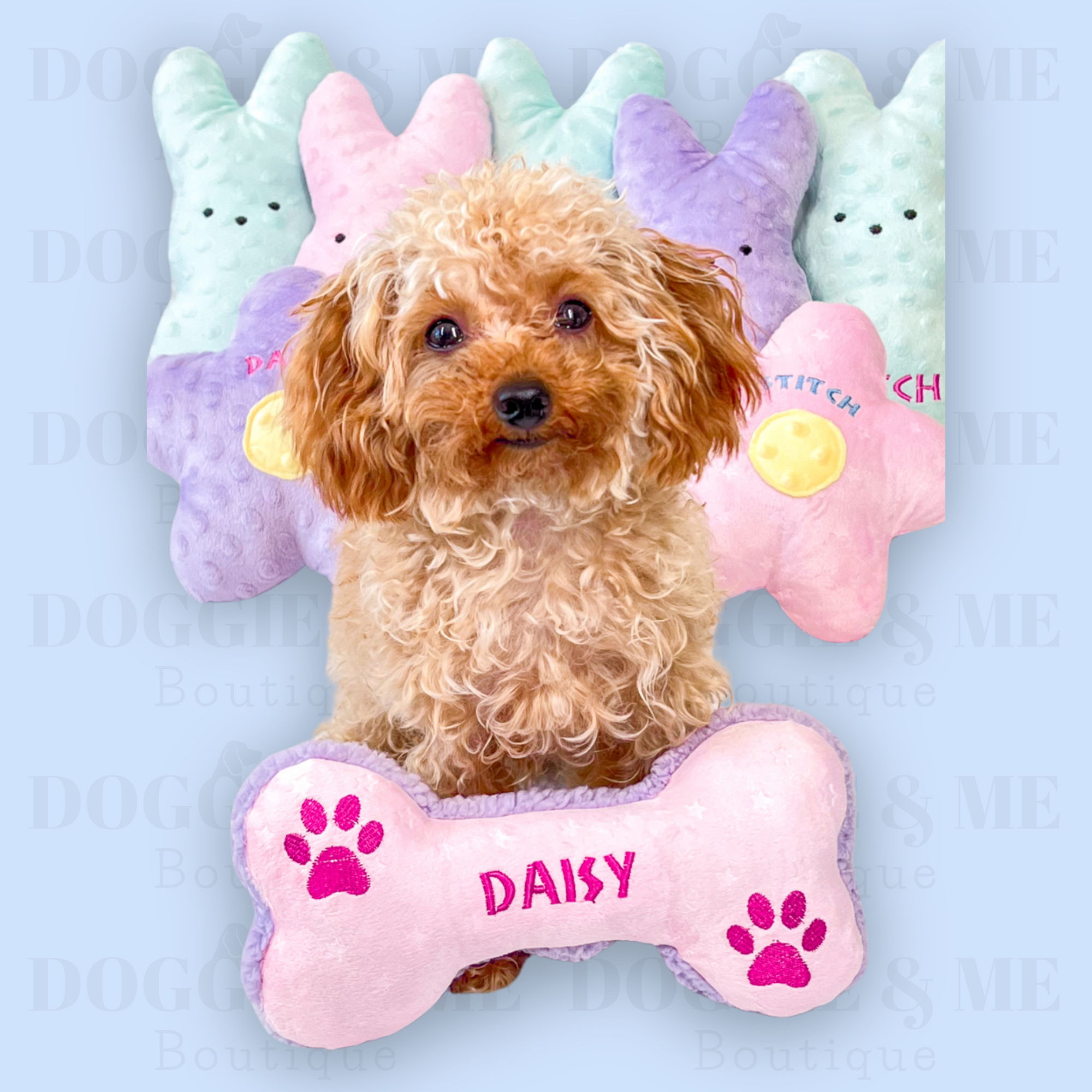 Personalized Squeaky Dog Toy 2
