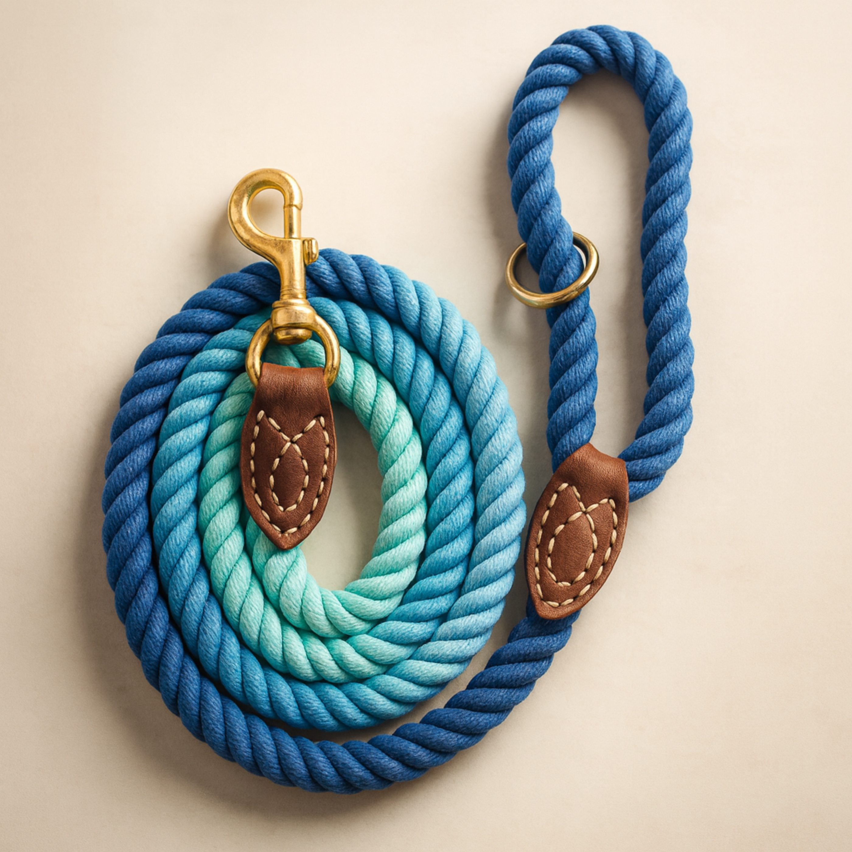 Braided Dog Leash