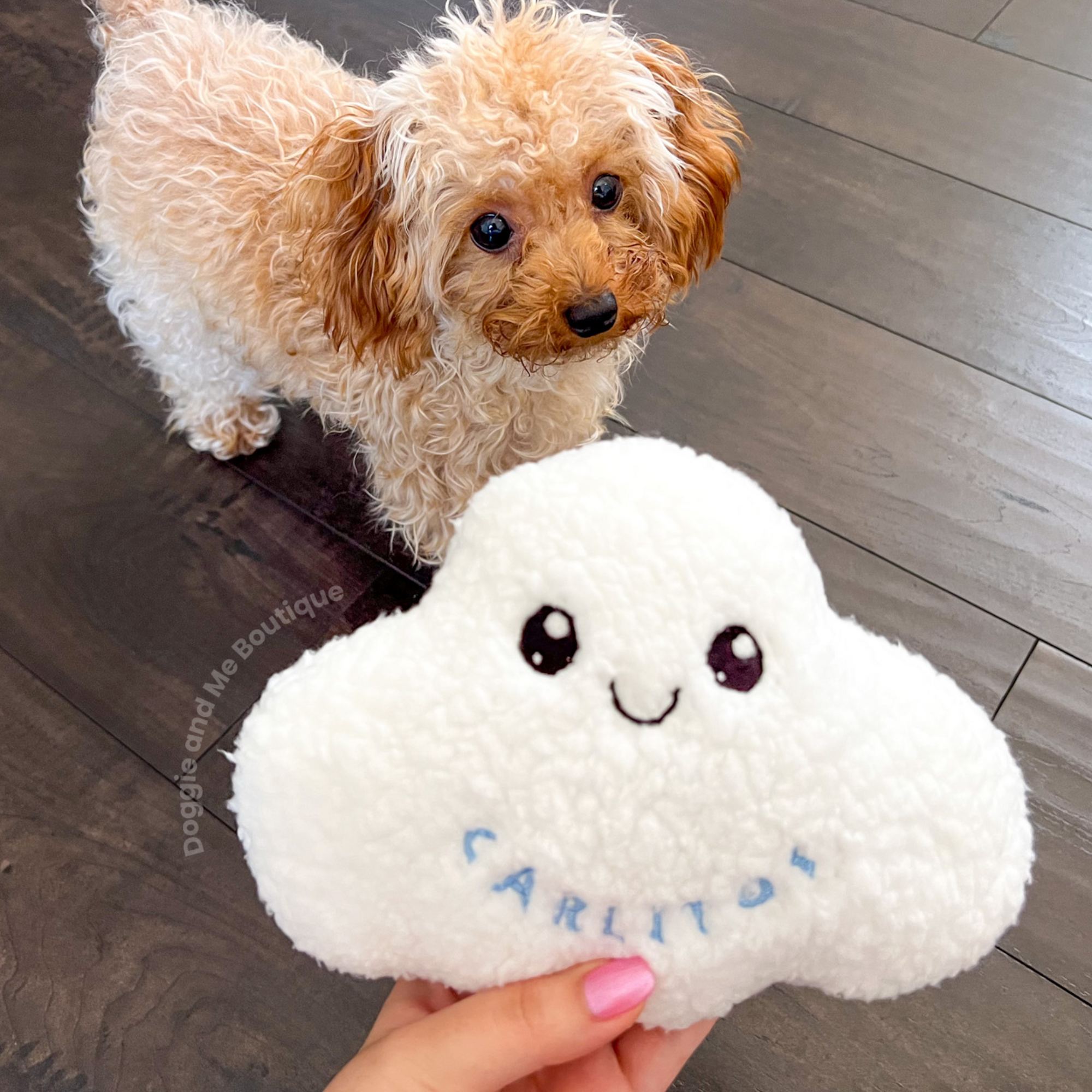 Personalized Cloud Dog Toy
