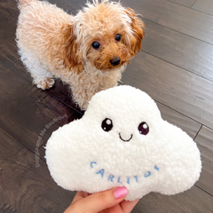 Personalized Cloud Dog Toy