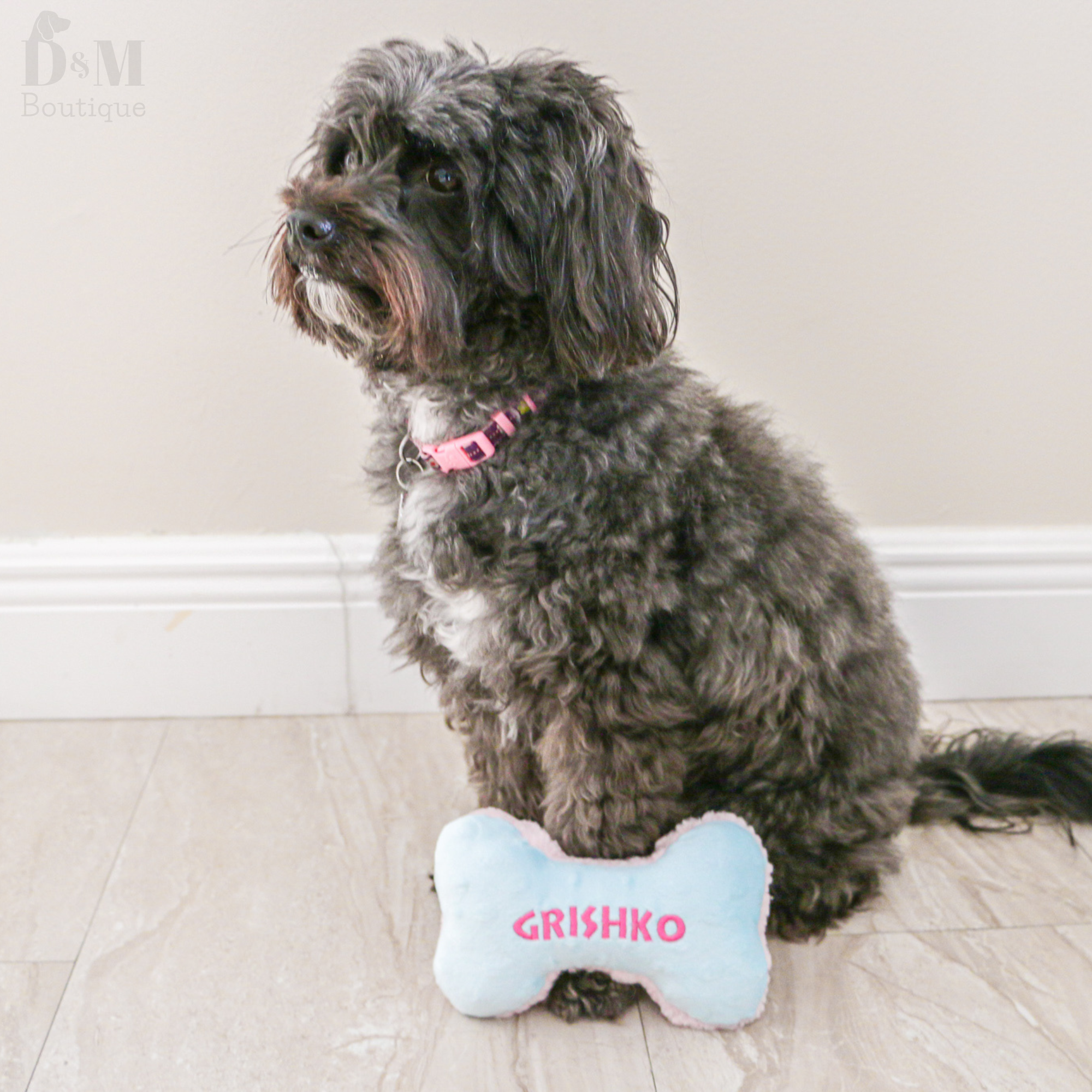 Dog sitting on a wooden floor with a personalized bone-shaped toy