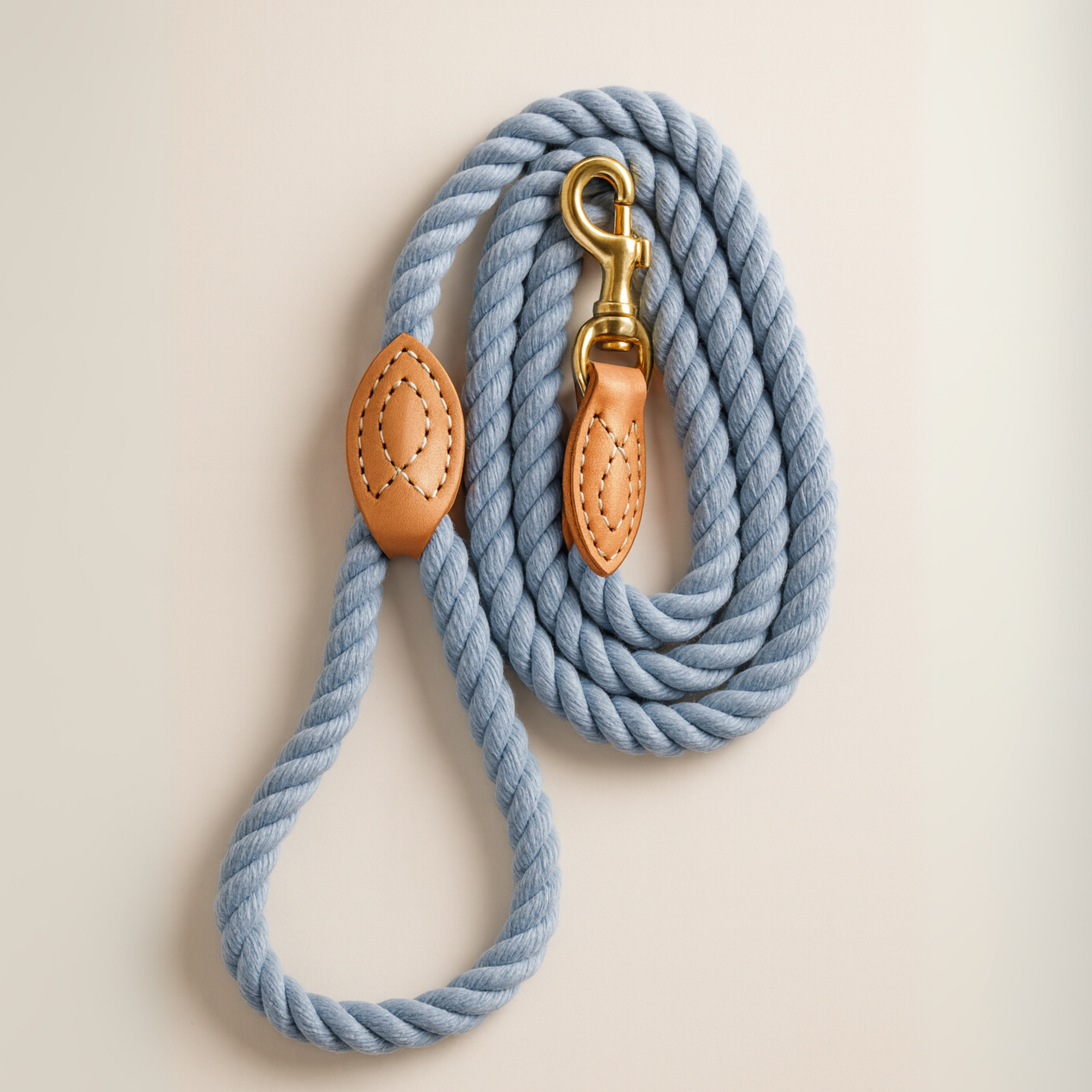 Braided Dog Leash