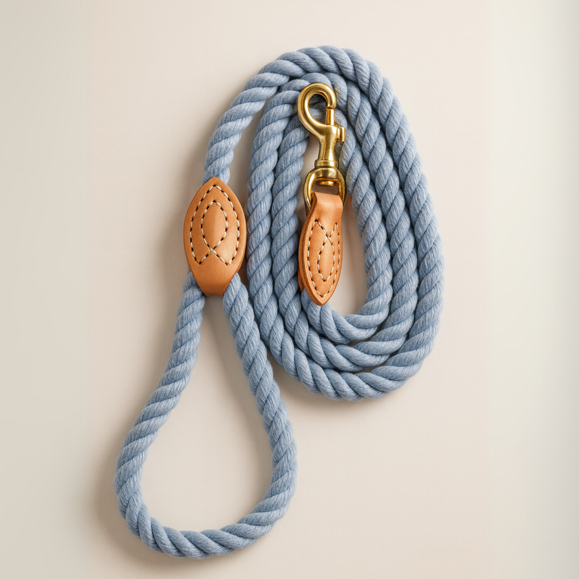 Braided Dog Leash