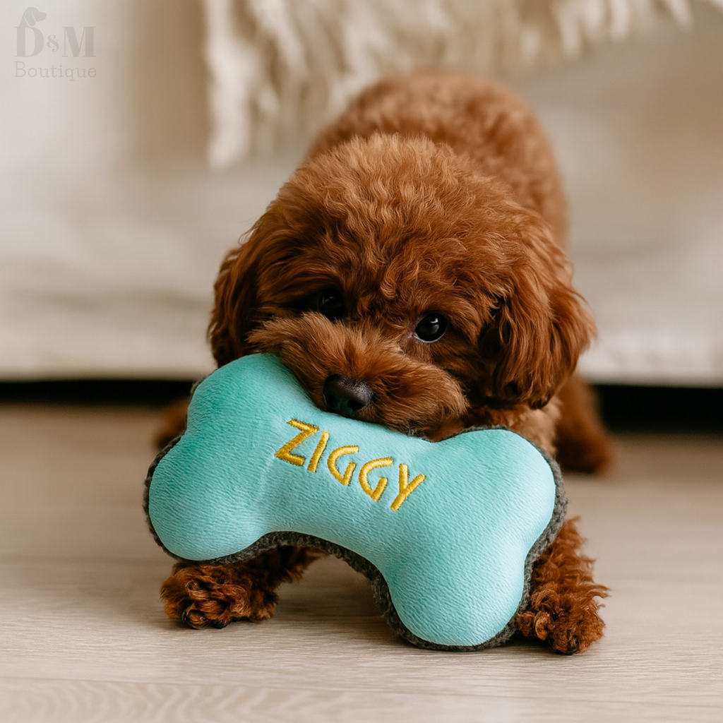 Small brown dog holding a blue bone-shaped toy with 'Ziggy' written on it.