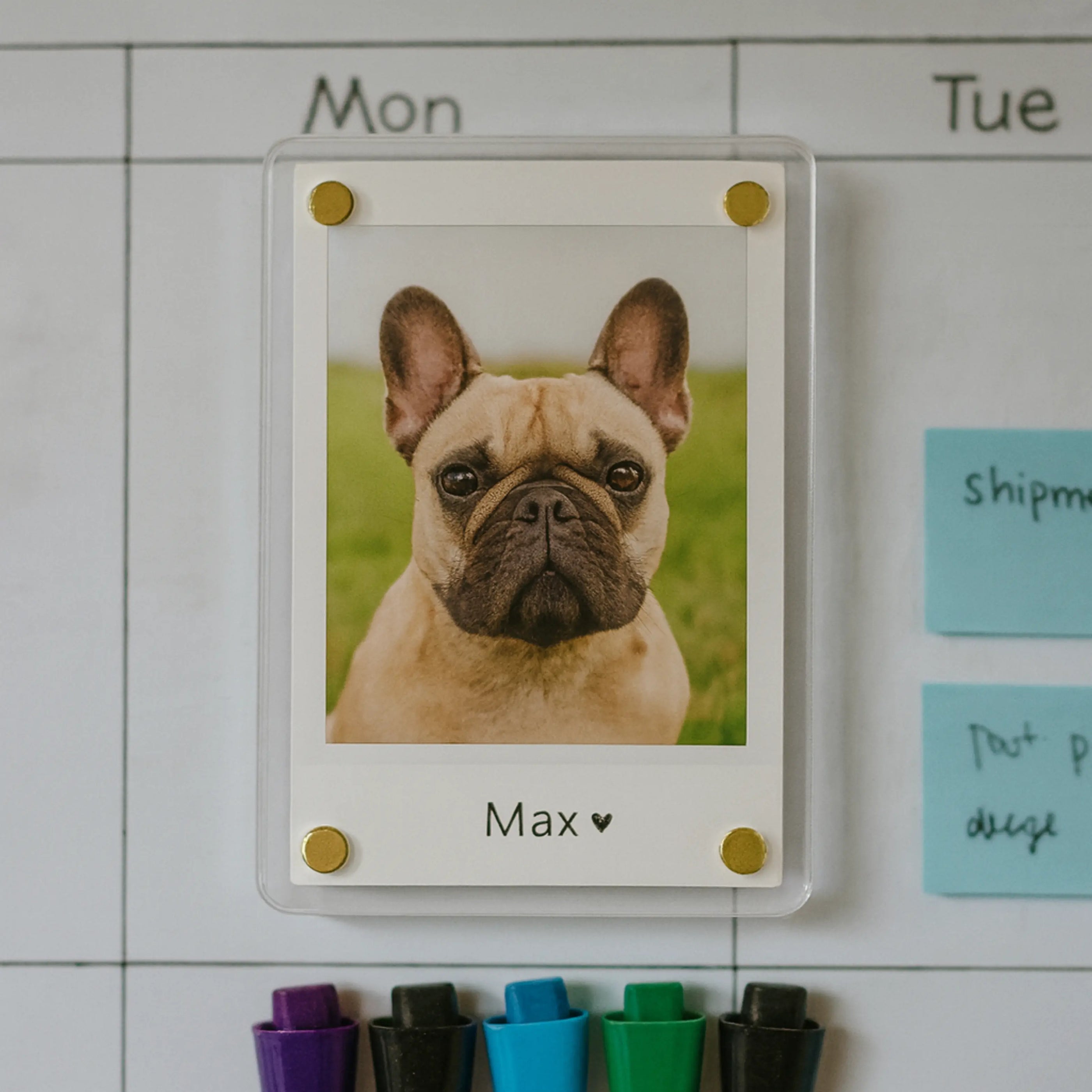 Personalized Dog Magnet