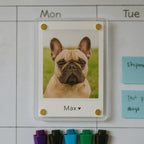 Personalized Dog Magnet