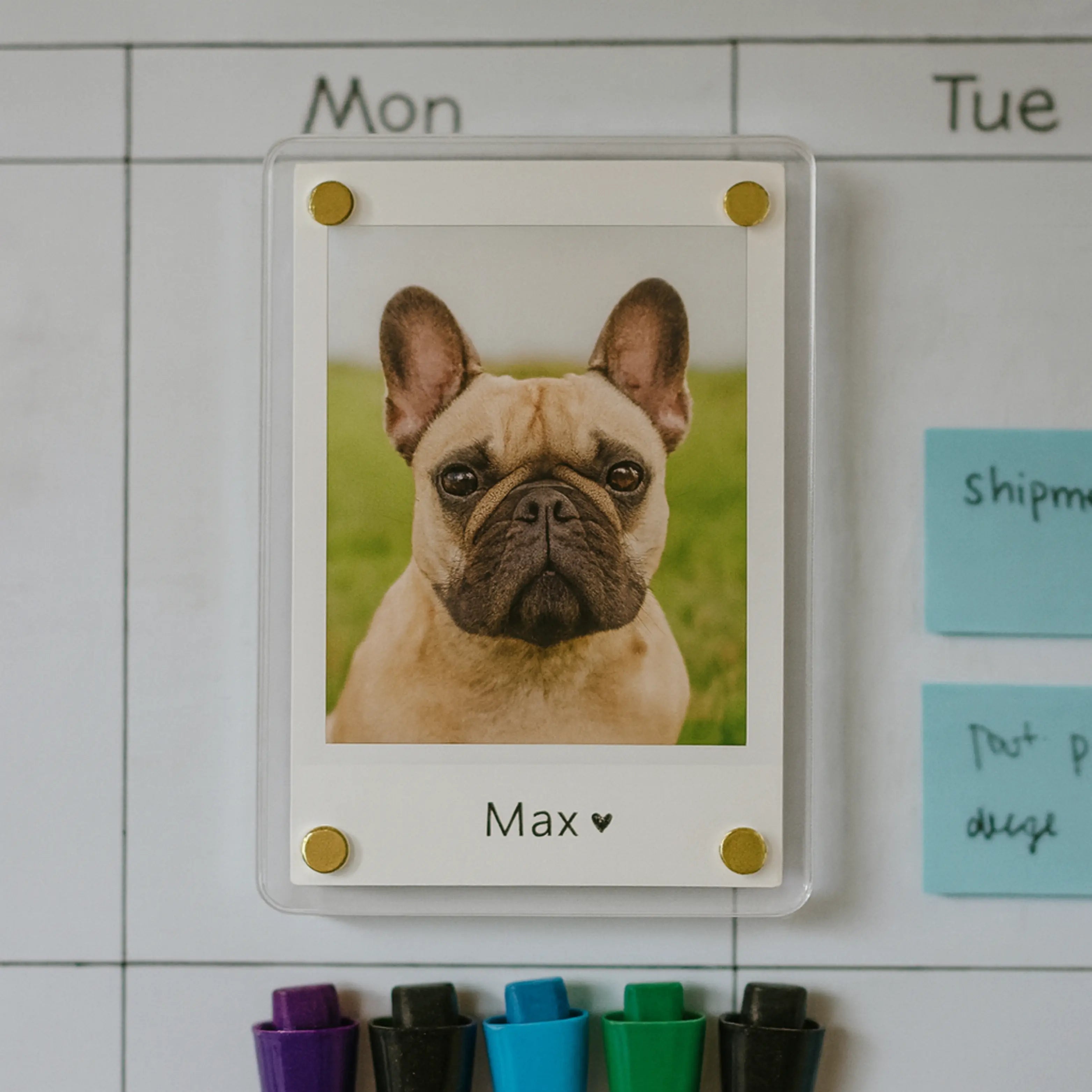 Personalized Dog Magnet