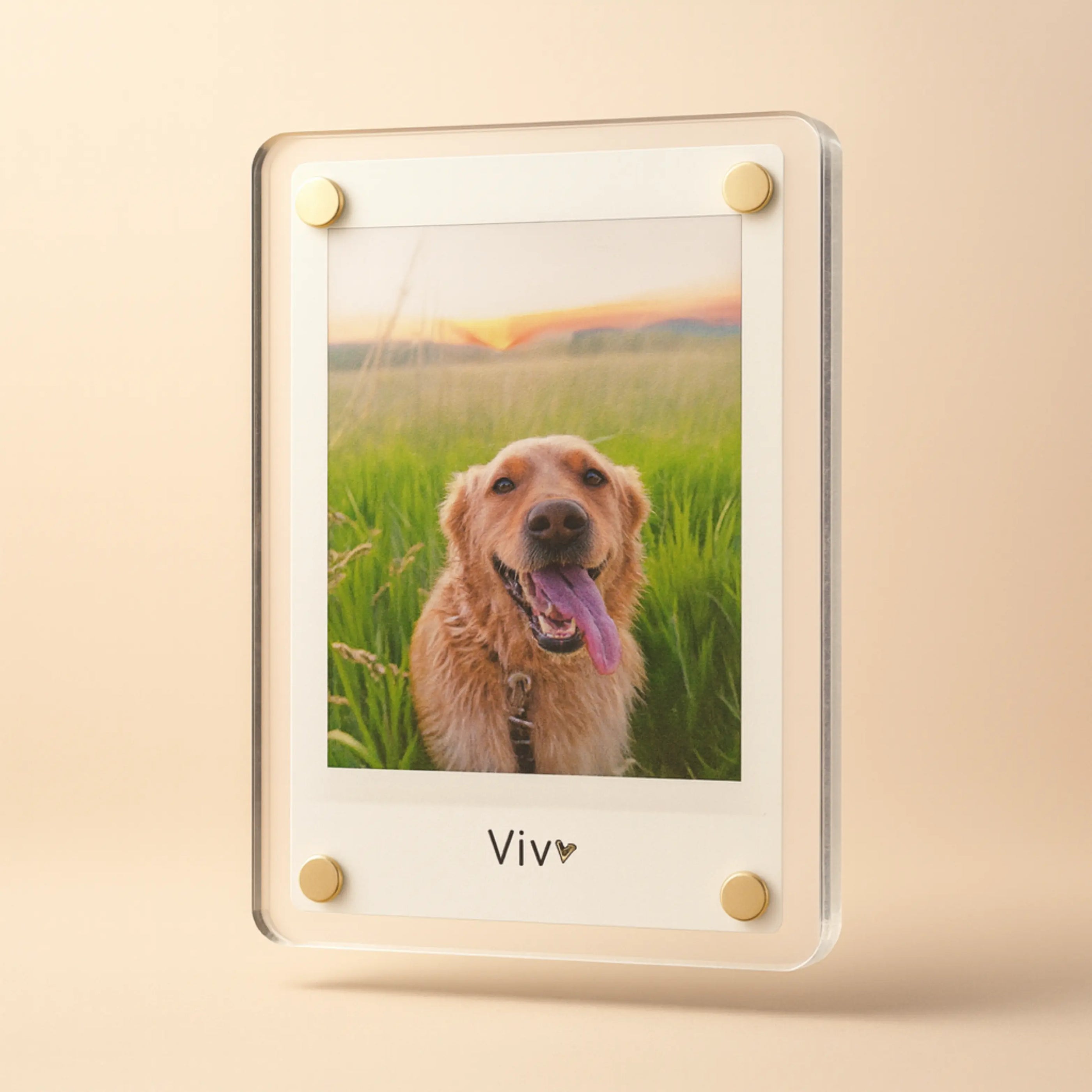 Personalized Dog Magnet