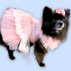 Haute Couture Handmade Princess Dog Dress