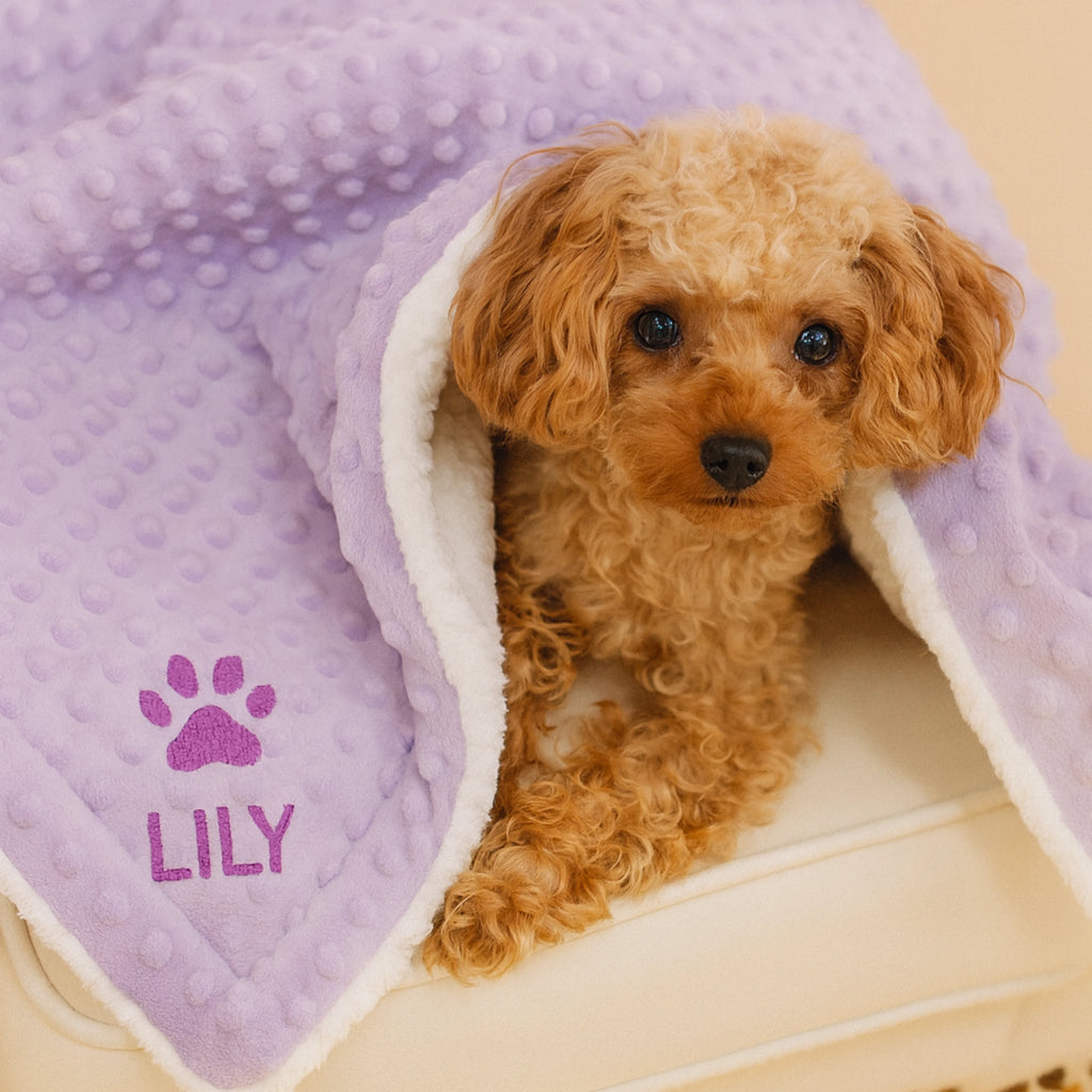 Personalized Dog Blanket Bundle