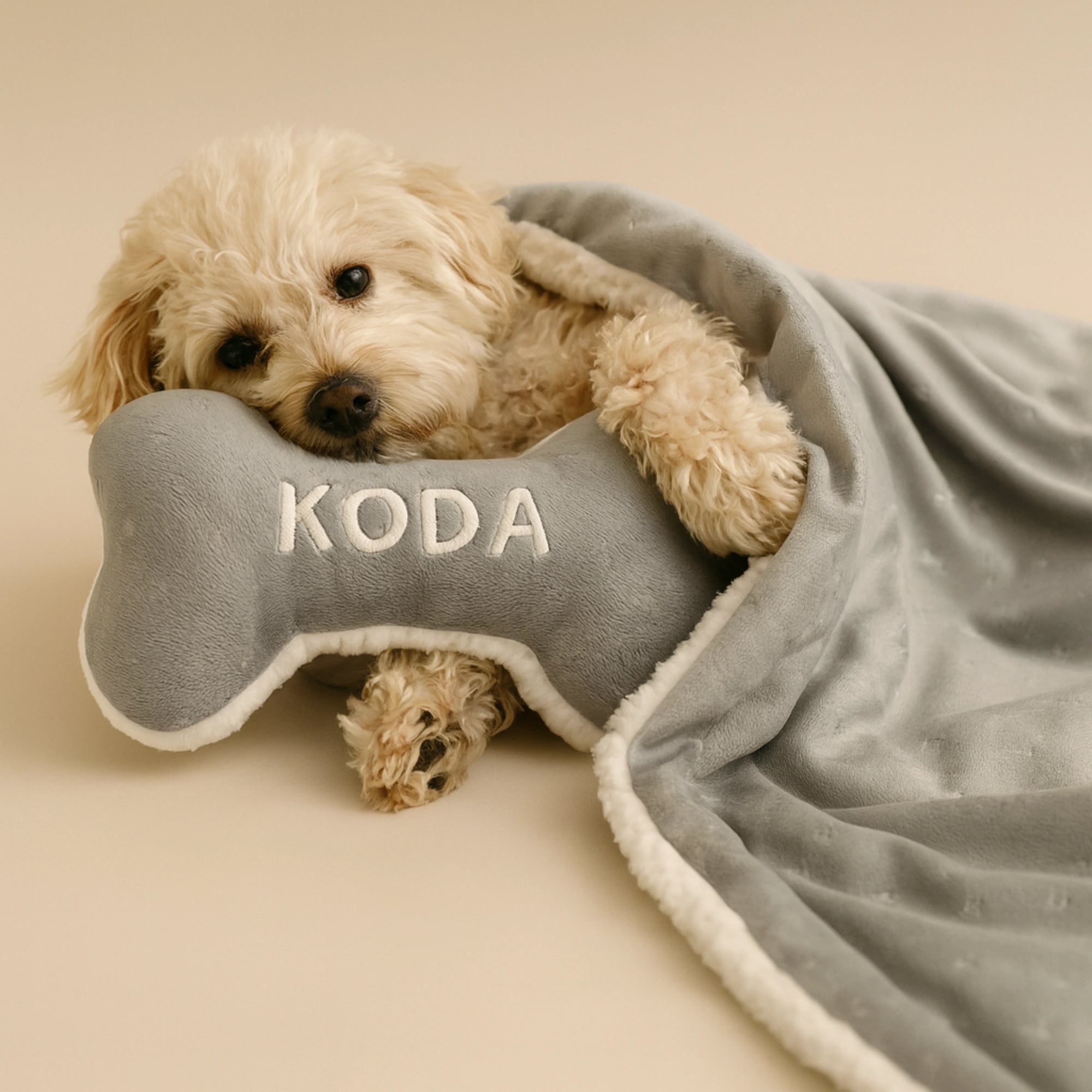 Personalized Dog Blanket Bundle