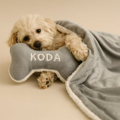 Personalized Dog Blanket Bundle