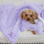 Personalized Dog Bed Set