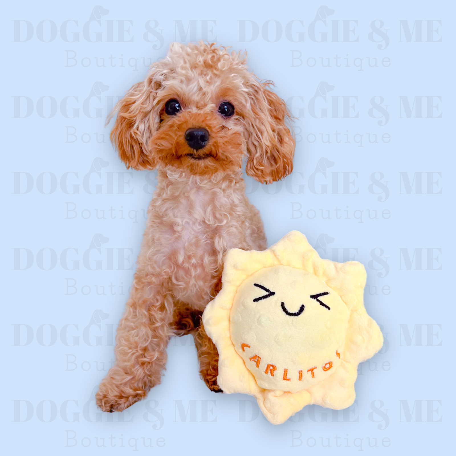 Personalized Sun Dog Toy