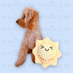 Personalized Sun Dog Toy