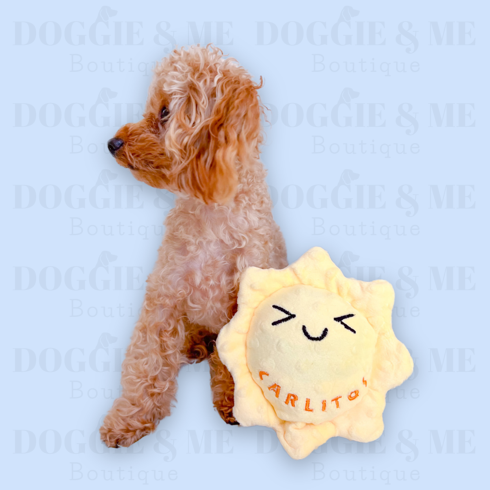 Personalized Sun Dog Toy