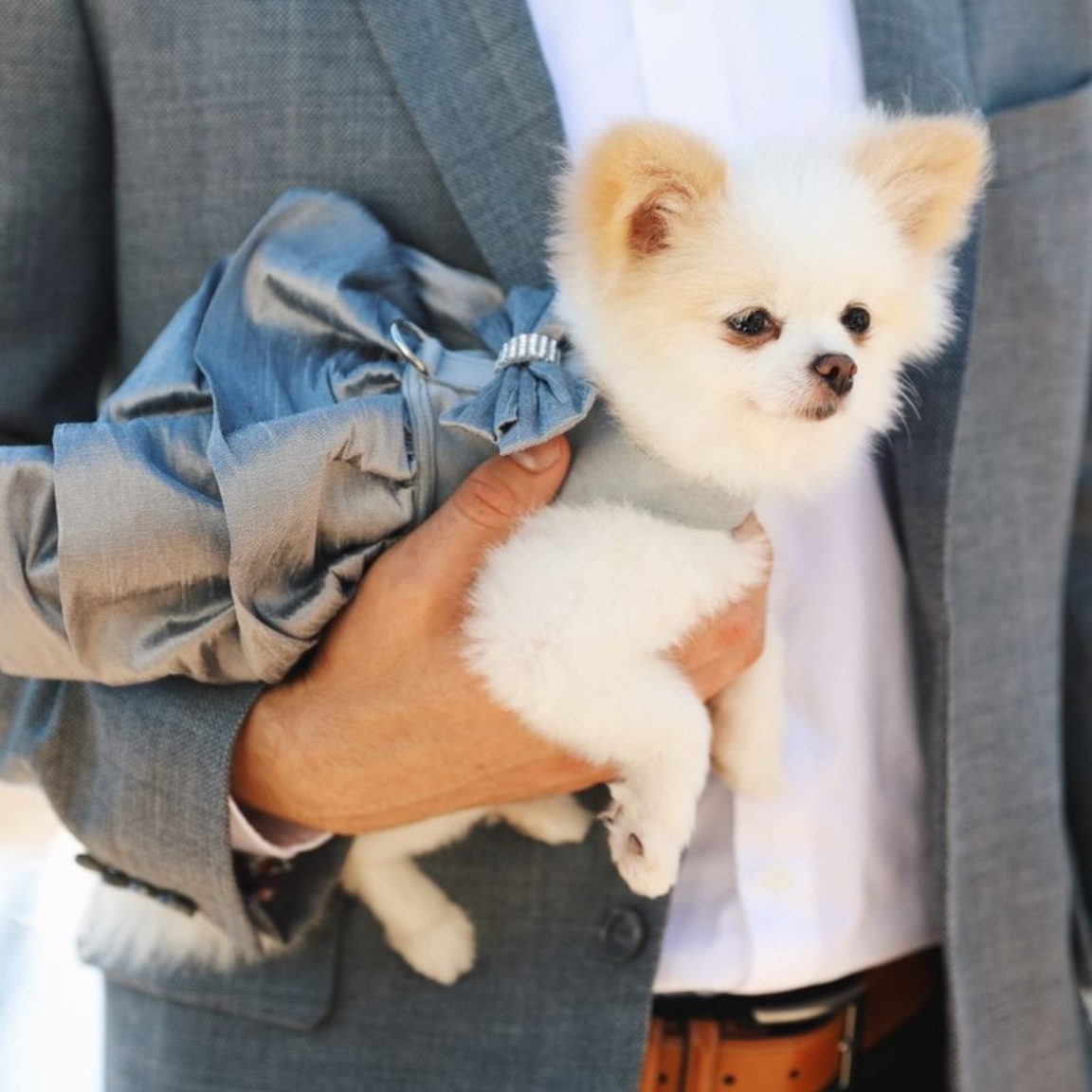 Madison Dog Harness Dress