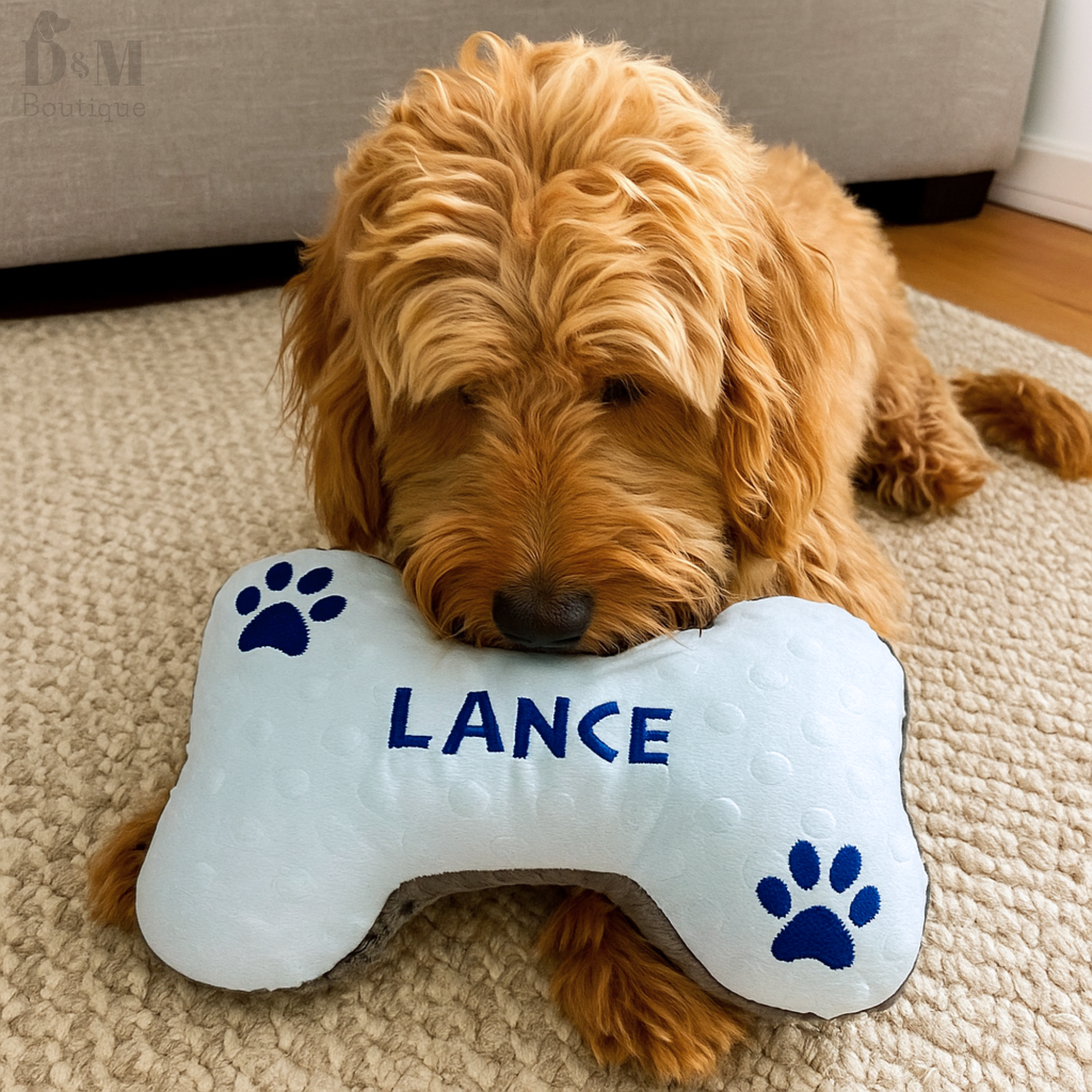 Dog named Lance with a bone-shaped pillow on a carpeted floor.