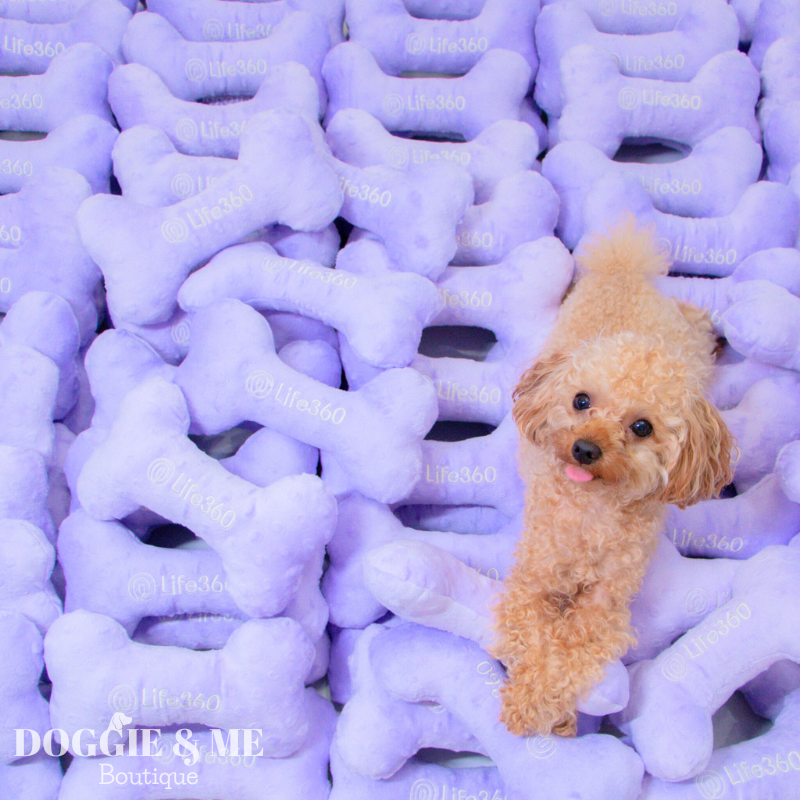 Premium Promotional Dog Toys