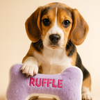 Puppy with a purple bone-shaped pillow labeled 'Ruffle' on a beige background