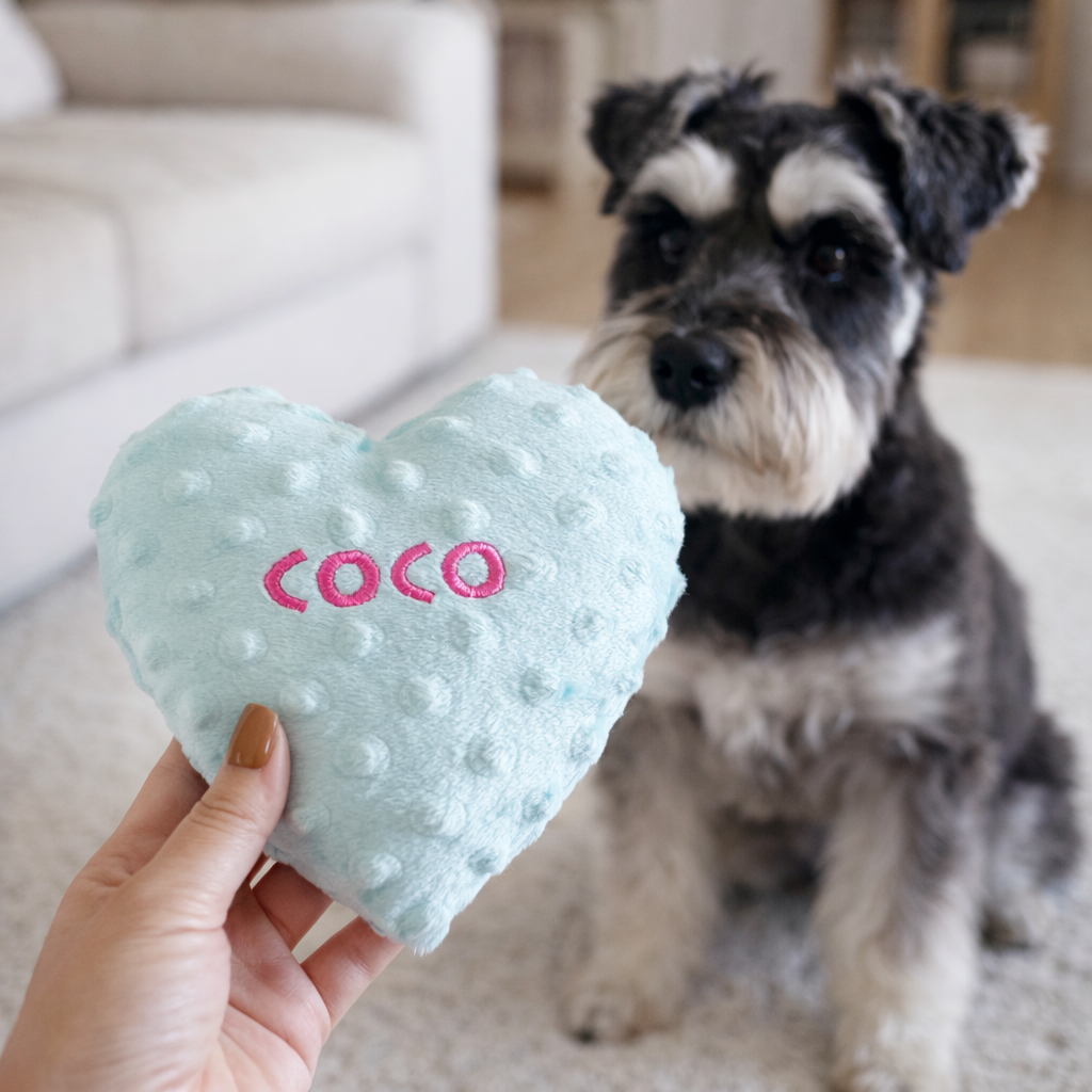 Heart-shaped dog toy with 'COCO' text held by a hand, in front of a dog.