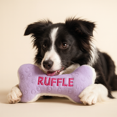 Dog holding a purple bone-shaped toy with 'RUFFLE' embroidered on it against a beige background
