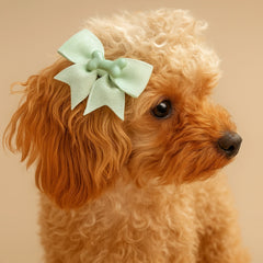 Dog Hair Bows