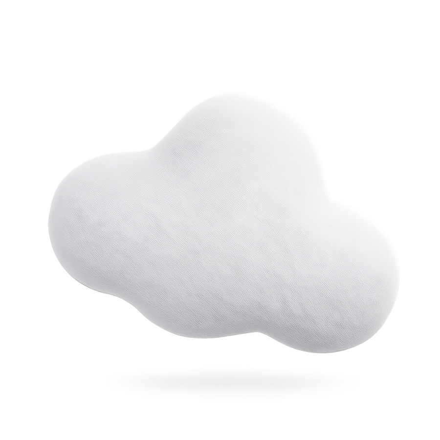 Personalized Cloud Dog Toy