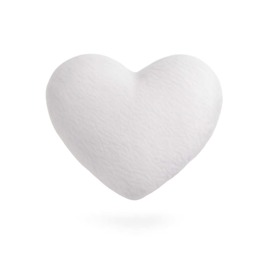 Personalized Heart Dog Toy