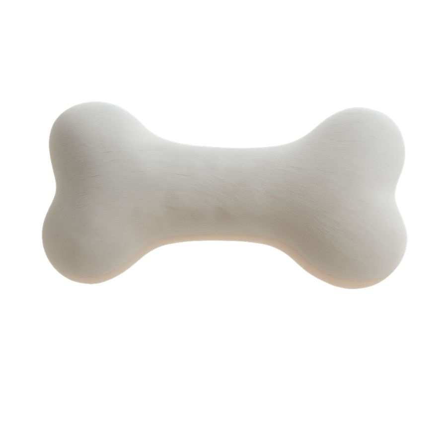 Personalized Squeaky Dog Toy With Paws