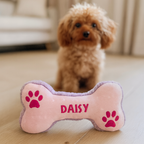 Dog toy shaped like a bone with 'DAISY' on it, in front of a small dog.