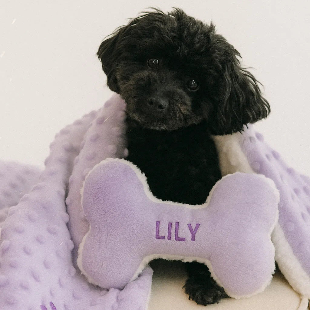 Personalized Dog Blanket Bundle