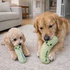 Two dogs playing with green plush pickle dog toys on a carpeted floor.