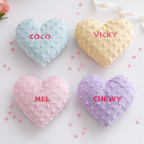 Four heart-shaped dog toys with names 'Coco', 'Vicky', 'Mel', and 'Chewy' on a light background.