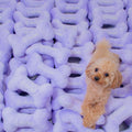 Premium Promotional Dog Toys
