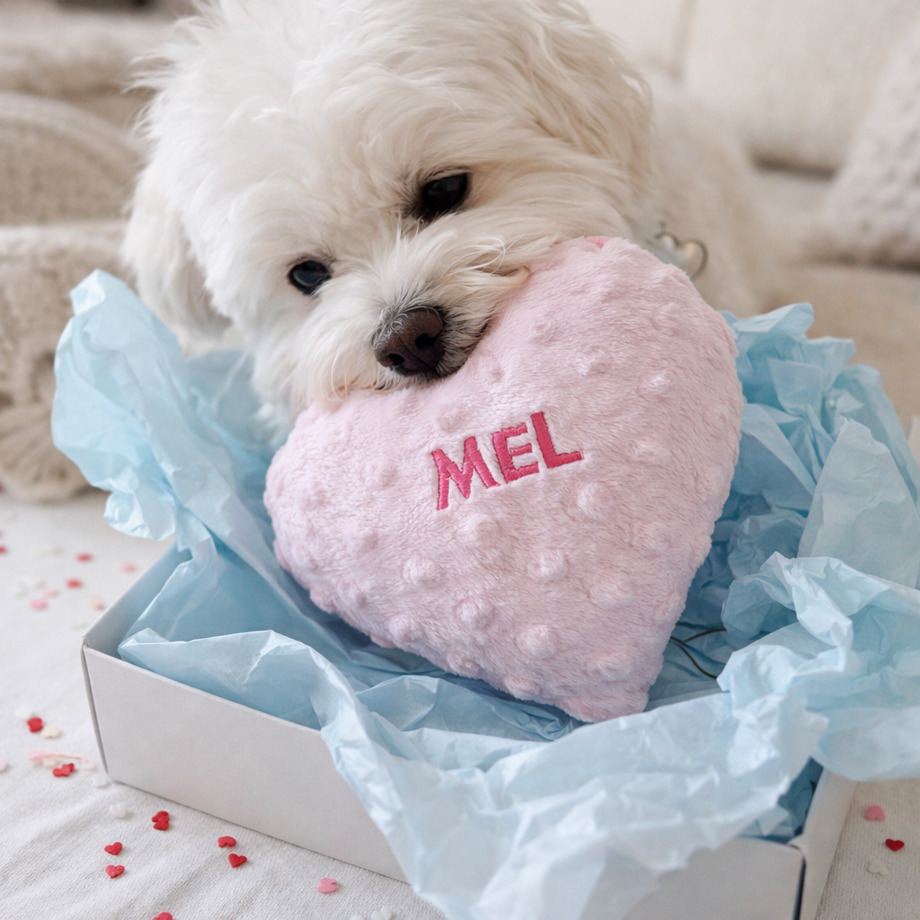 White dog with a pink heart-shaped pillow that says 'MEL' on a light background.