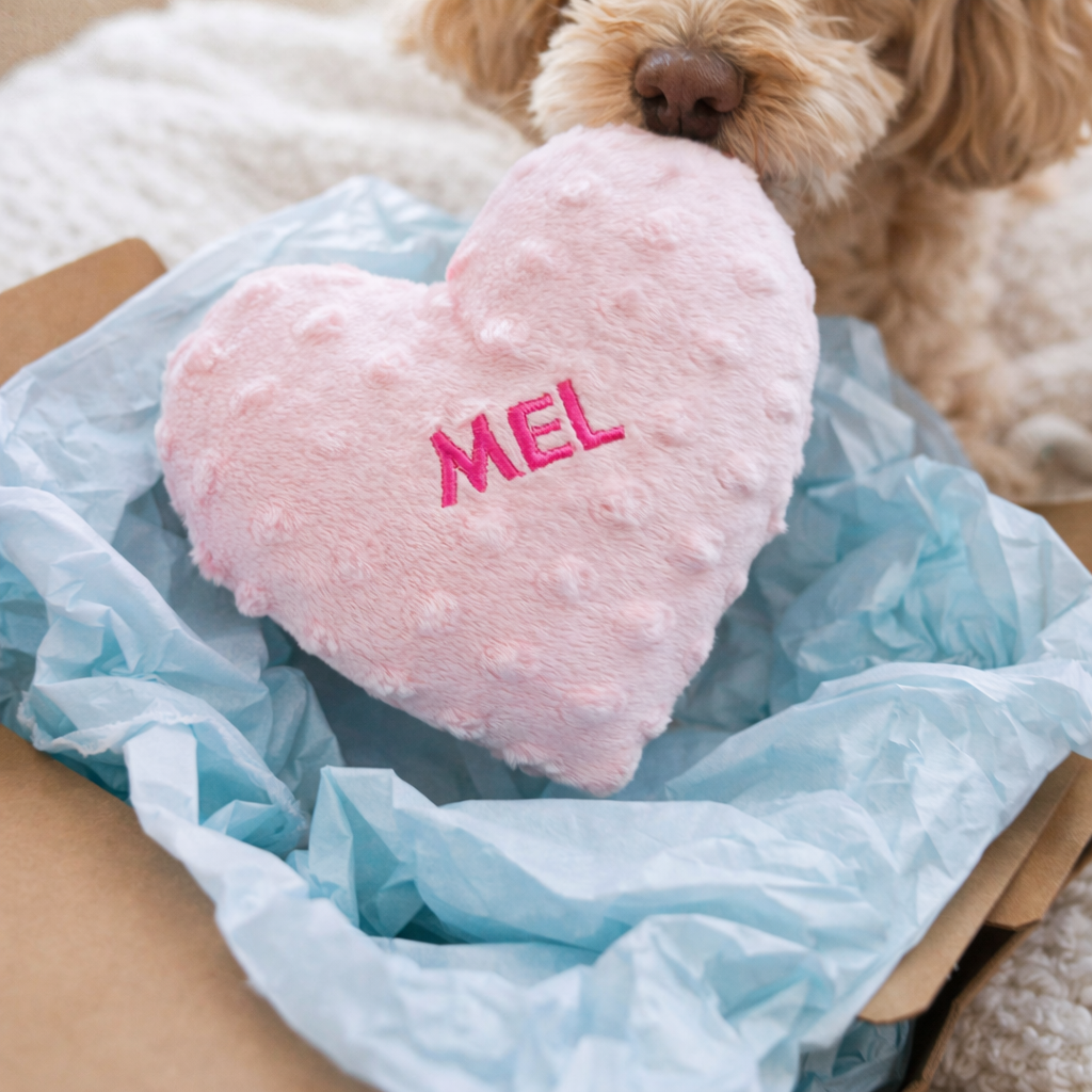 Pink heart-shaped pillow with 'MEL' embroidered on it, surrounded by blue tissue paper, with a dog in the background.