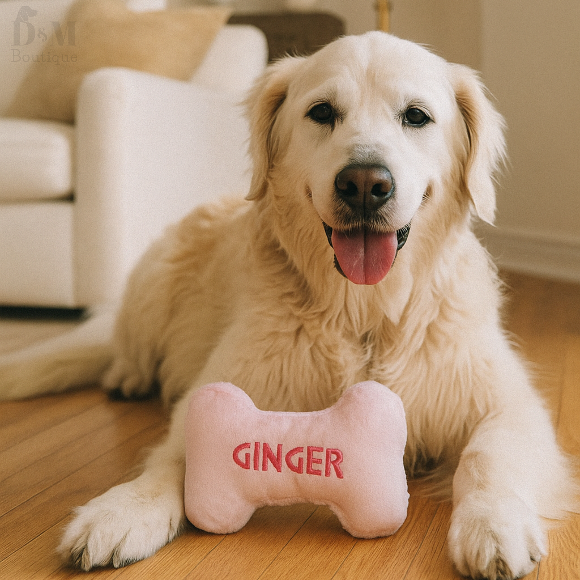 Dog with a pink bone-shaped toy named 'GINGER' on a wooden floor.