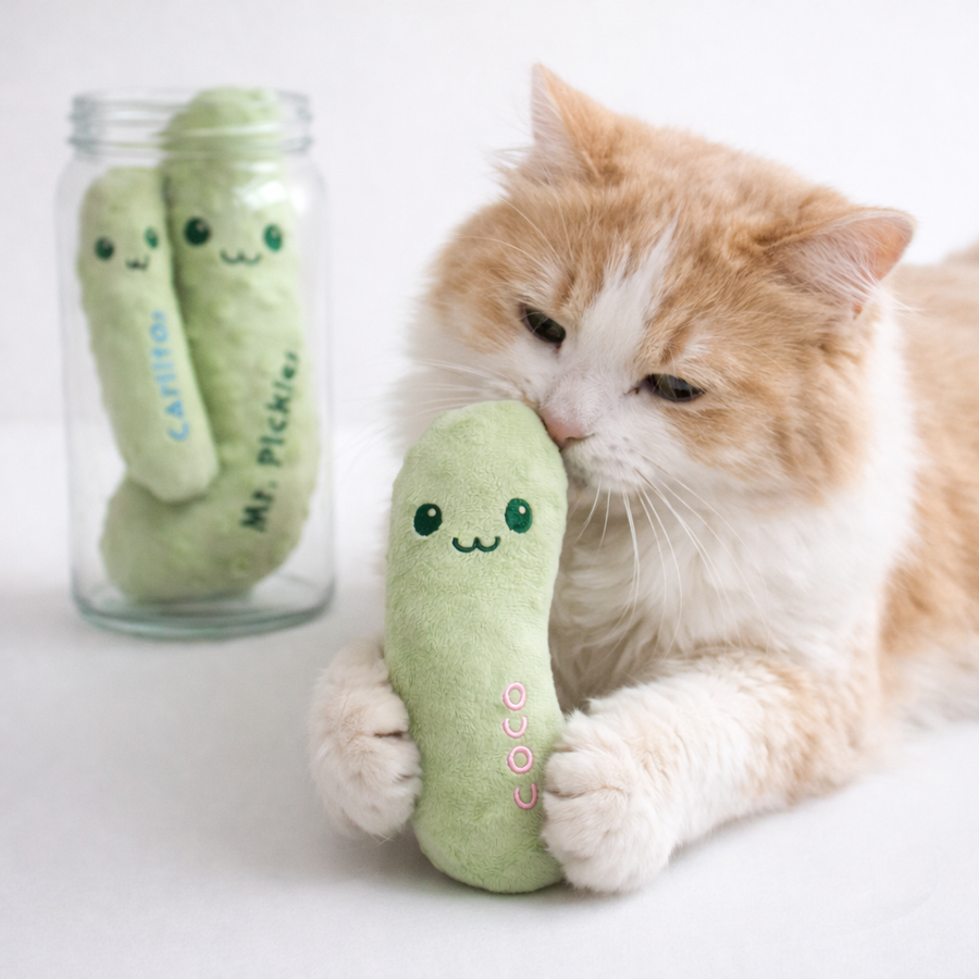Personalized Pickle Cat Toy