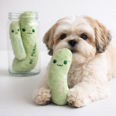 Dog playing with a green plush toy resembling a pickle, with another similar toy in a jar.