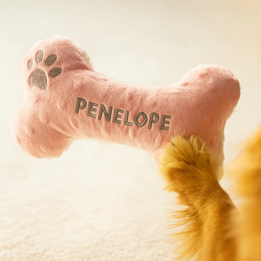 Personalized Squeaky Dog Toy With Paws