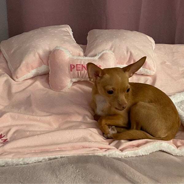 Customer photo of Peeps-Style Dog Toy