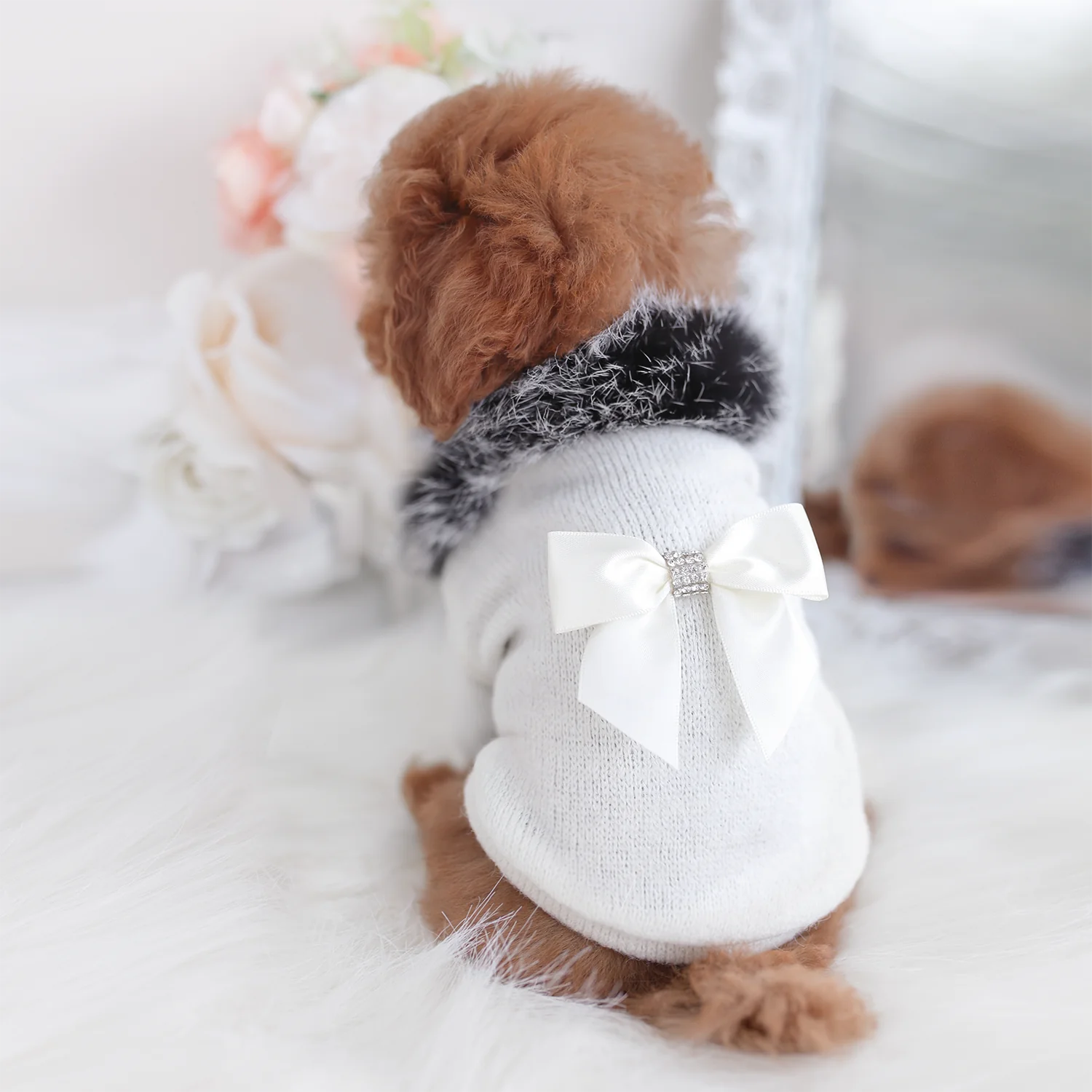 High Society Dog Sweater